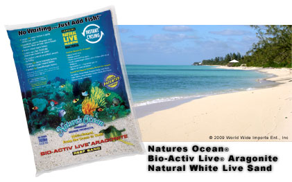 Natures Ocean Bio-Activ Live Aragonita natural de arena blanca en vivo
