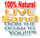 100 percent natural live sand