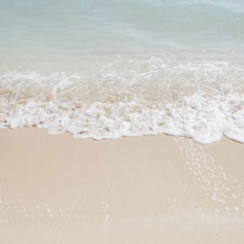 For cleaner water quality use our aquarium seawater by Nutri Seawater