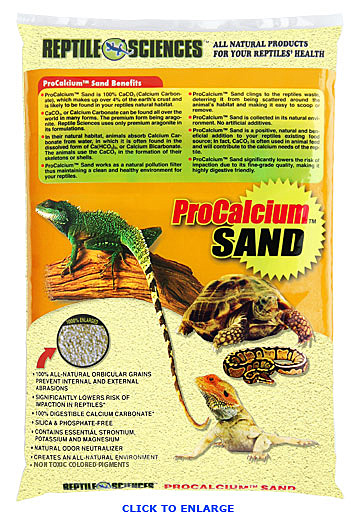 reptile sand