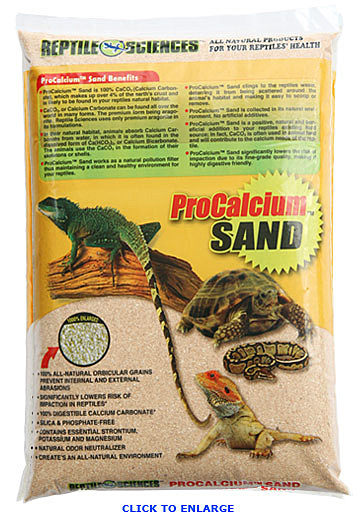 reptile sand