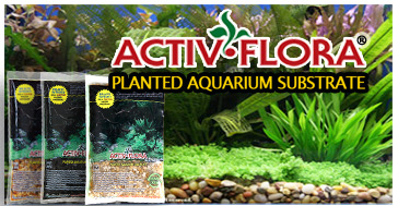 Planted Aquarium Substrates